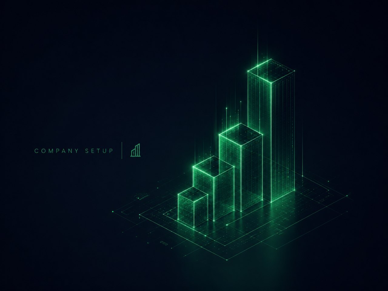 Company setup illustration